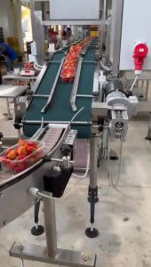 Macchine per l'industria agroalimentare